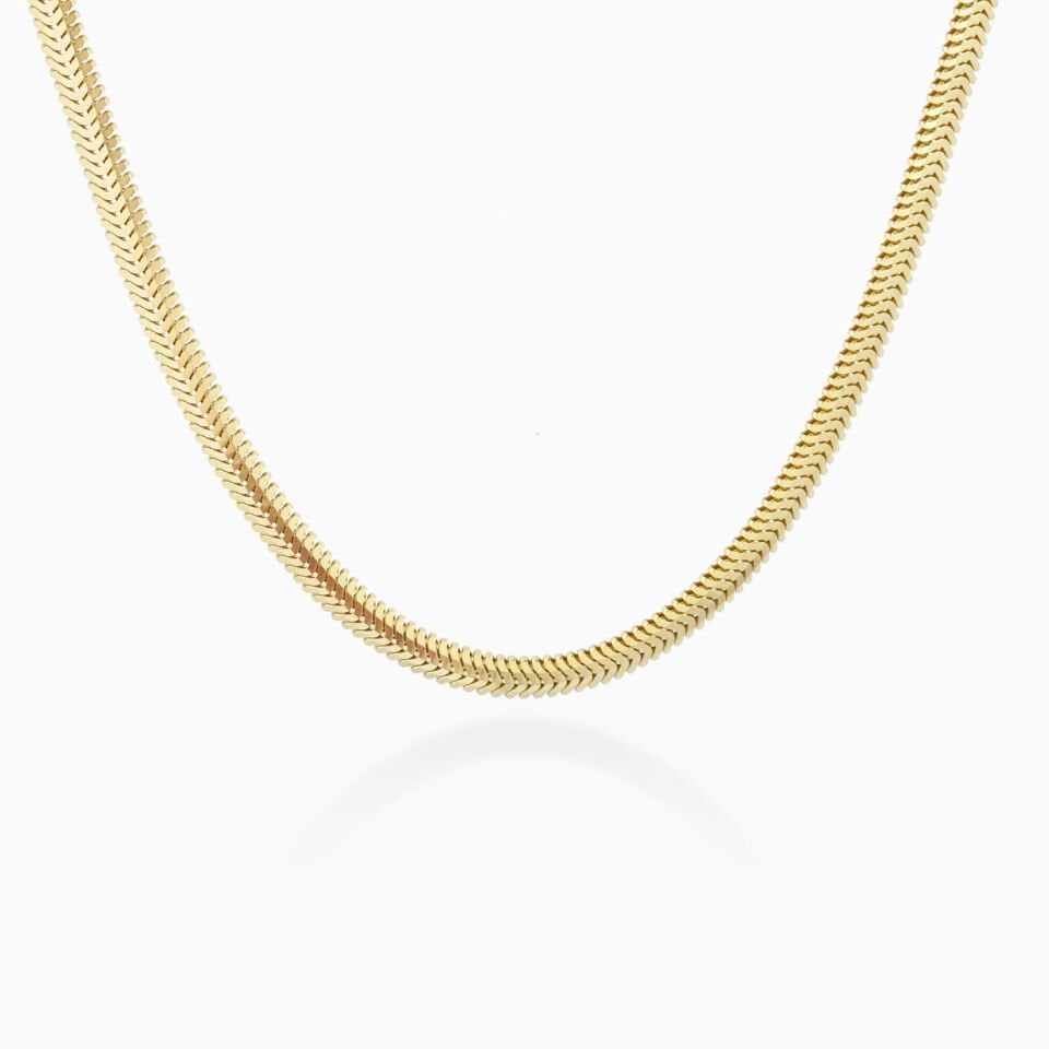 Balık Sırtı Zincir Set